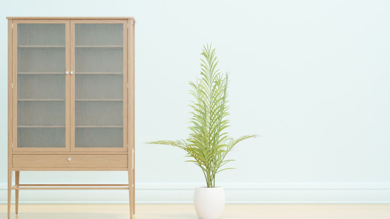 Green Plant on White Ceramic Pot Beside Wooden Shelf · Free Stock Photo