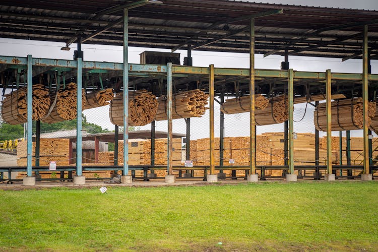 Piles Of Wood In A Lumber Yard