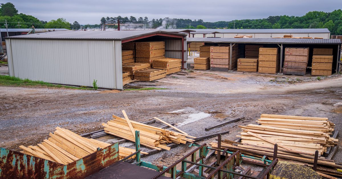 Kiln Drying: Why Moisture Control Matters in Rosewood Furniture kiln drying