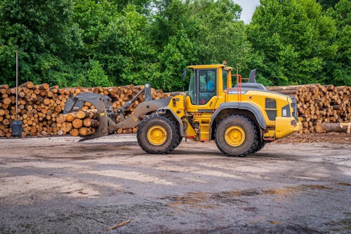 Kostenloses Stock Foto zu baum-protokoll, fahren, fahrzeug