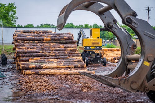 Stacks of Tree Logs Beside Parked Tractors