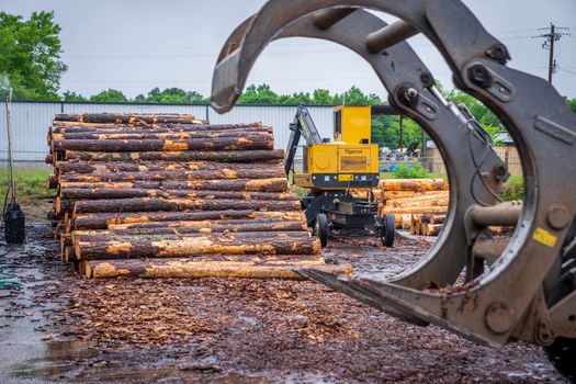 forestry logging equipment