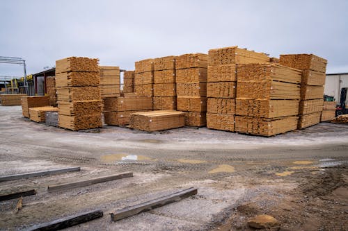 Photo of a Carpentry Stock and a Stack of Wooden Planks