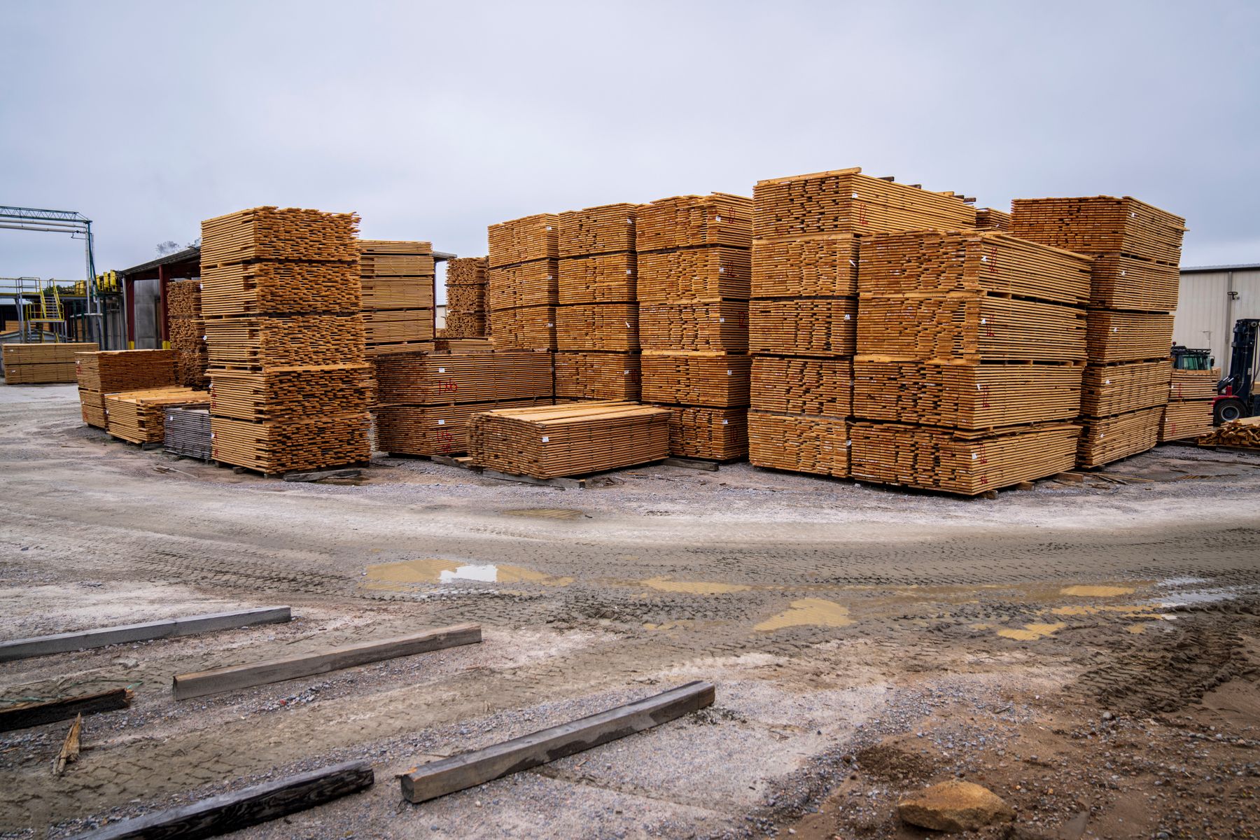 Stacks of fresh lumber in a building supply yard