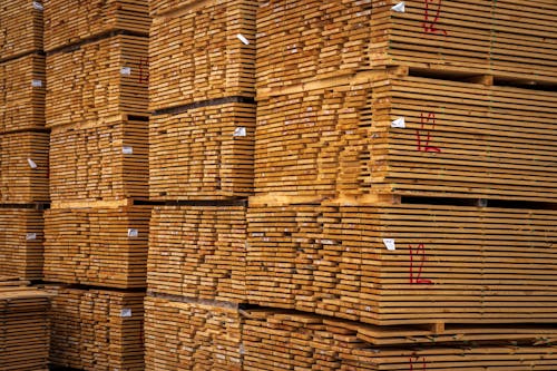 Free Foto profissional grátis de áspero, bambu, carpintaria Stock Photo