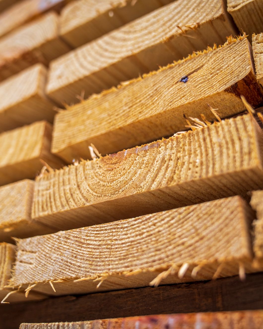 Stacked timber and natural fibre samples on a workbench in raking daylight