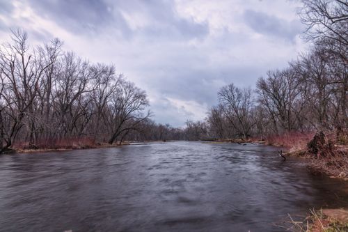 Free Peaceful river view surrounded by bare trees under a cloudy sky in winter. Stock Photo