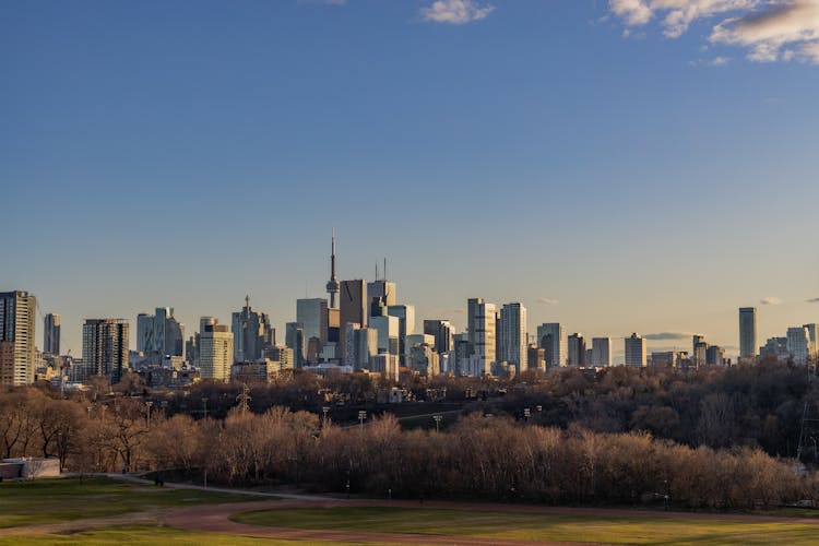 View Of The Toronto Skyline From The Park