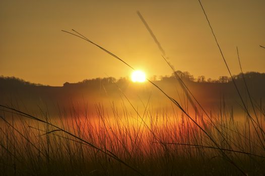 A serene sunrise over a mist-covered meadow in West Newton, Minnesota.