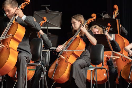 People Playing Cellos