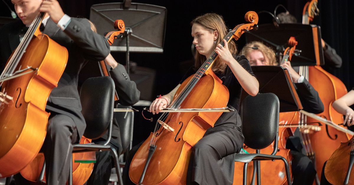 People Playing Cellos · Free Stock Photo