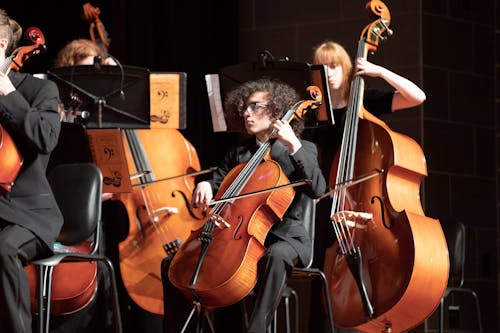 Free Kostenloses Stock Foto zu cello, klassische musik, konzert Stock Photo