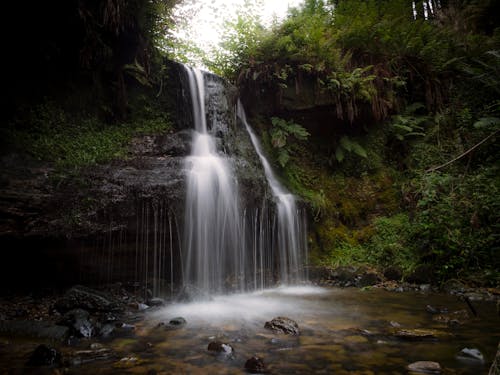 Бесплатное стоковое фото с водопад, длинная экспозиция, лес