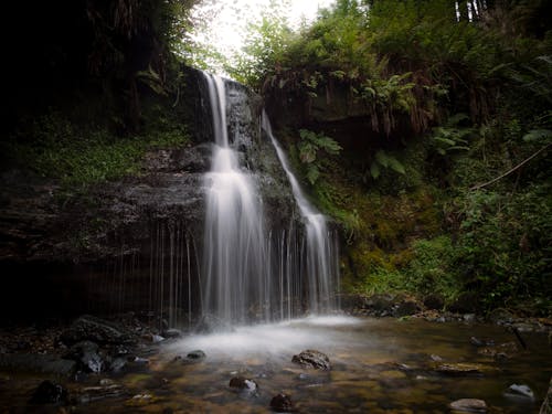 Long Exposure of a Small Forest Waterfall