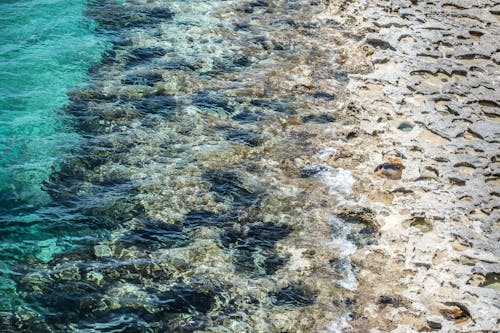 Transparent Sea Water 