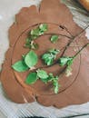 Green Leaves on Brown Round Plate