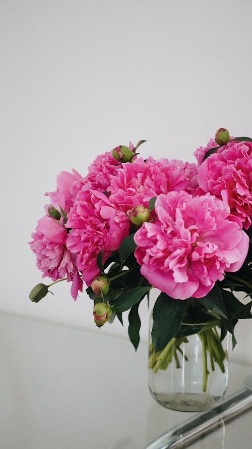 Pink Flowers in Bloom