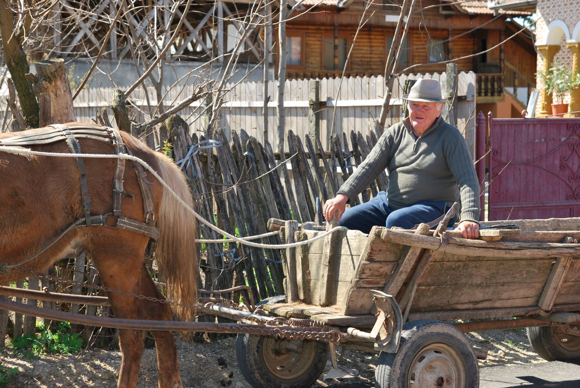 A smiling senior man rides a wooden horse-drawn carriage down a rustic street in a rural area.