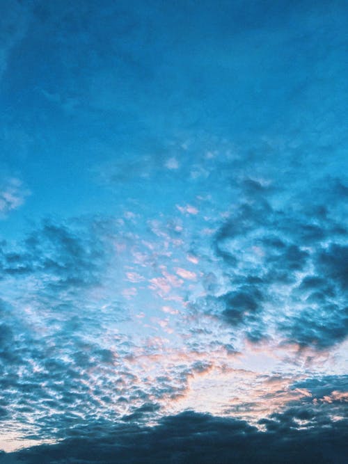 구름, 로우 앵글 샷, 수직 쐈어의 무료 스톡 사진
