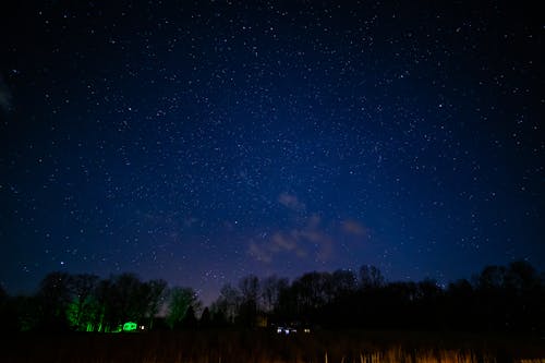 Free Photos gratuites de arbre, astronomie, constellation Stock Photo
