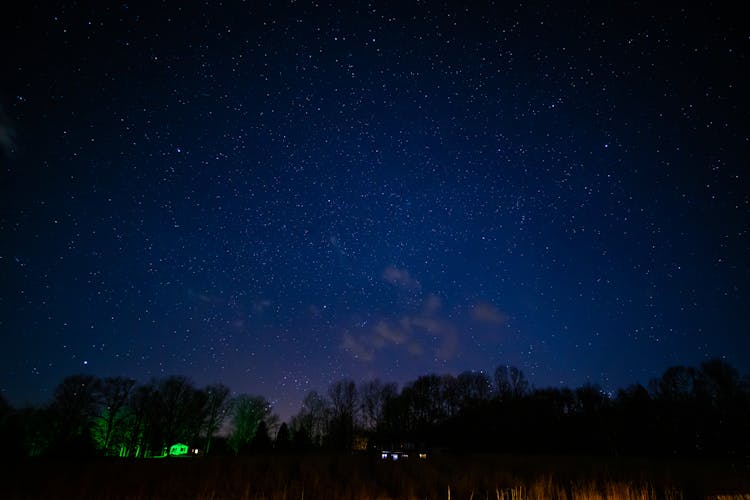 Stars On Night Sky