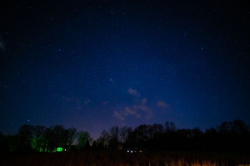 Free A breathtaking view of a star-filled night sky above a serene forest, capturing the magic of nature's nocturnal beauty. Stock Photo