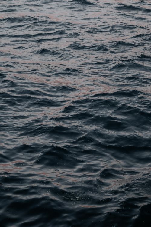 Free A close-up view of gentle ocean waves during dusk, showcasing nature's tranquility and beauty. Stock Photo