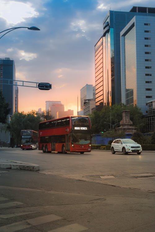Kostnadsfri bild av bussar, byggnader, fordon