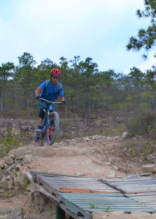 Free A determined cyclist navigates a challenging dirt trail in the mountains, showcasing adventure and skill. Stock Photo