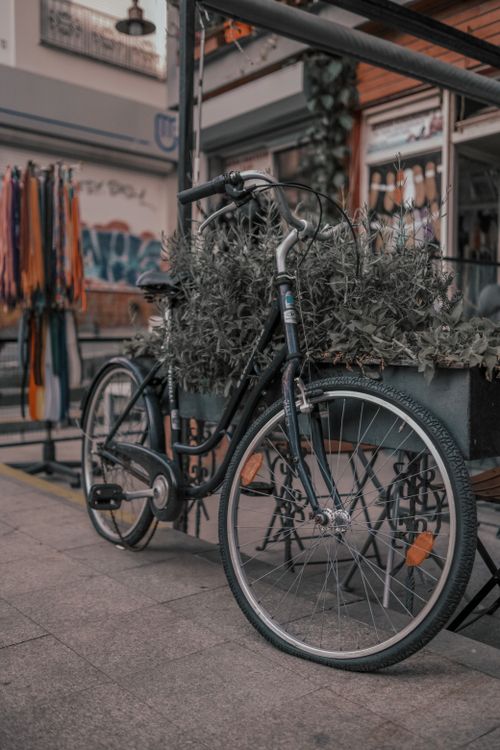 Free A classic bike with a plant box adorns a city sidewalk, adding charm and greenery. Stock Photo