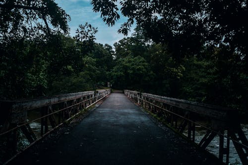 Foto stok gratis ekowisata, kerala, langit murung