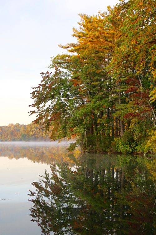 Free Calm water reflecting autumn trees, showcasing nature's tranquil beauty. Stock Photo