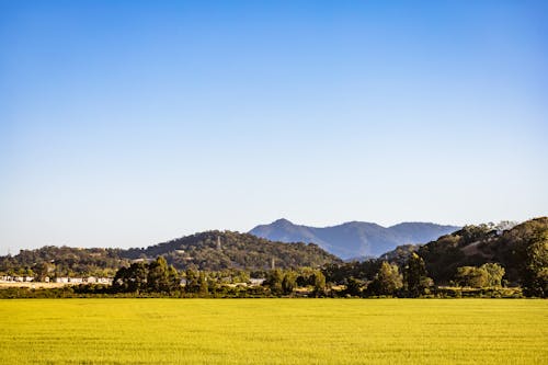 Kostnadsfri bild av åkermark, bergen, blå himmel