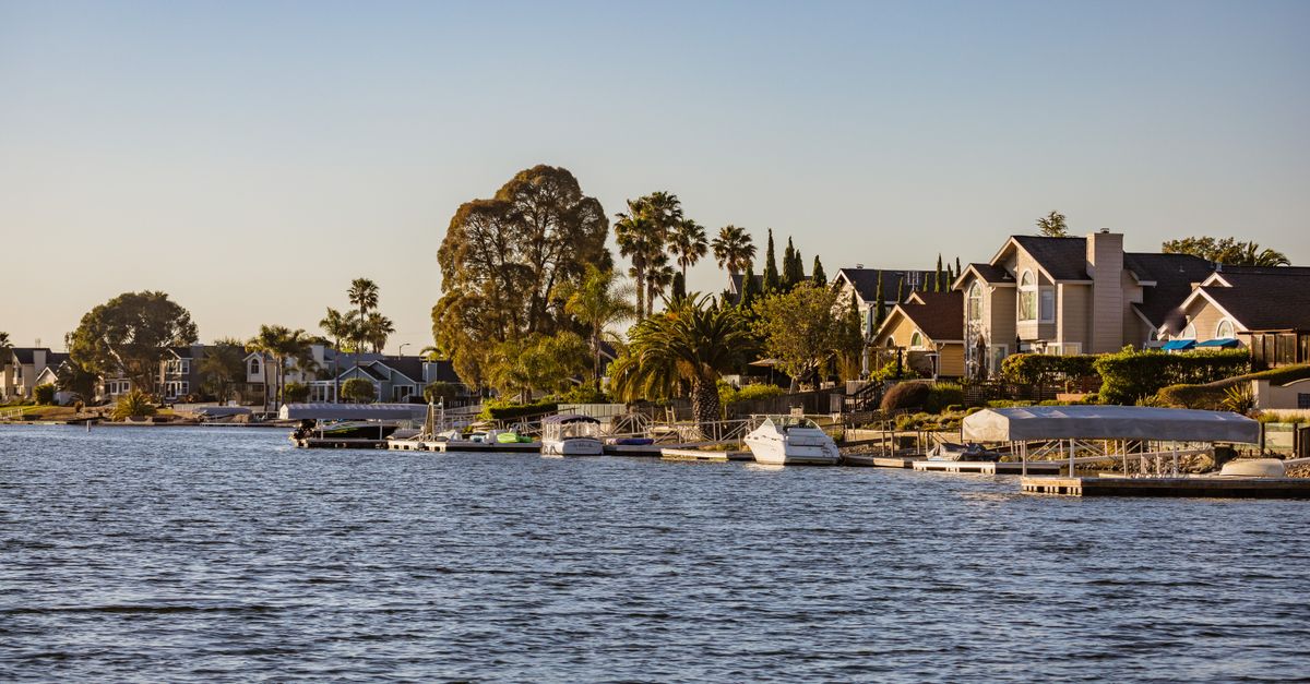 Idyllic waterfront scene with houses, palm trees, and docked boats in a serene setting.