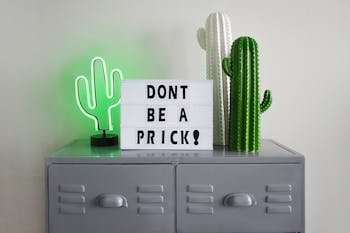 Green and White Cactus Table Decor on Gray Steel File Cabinet