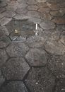 Concrete Pavement With Water