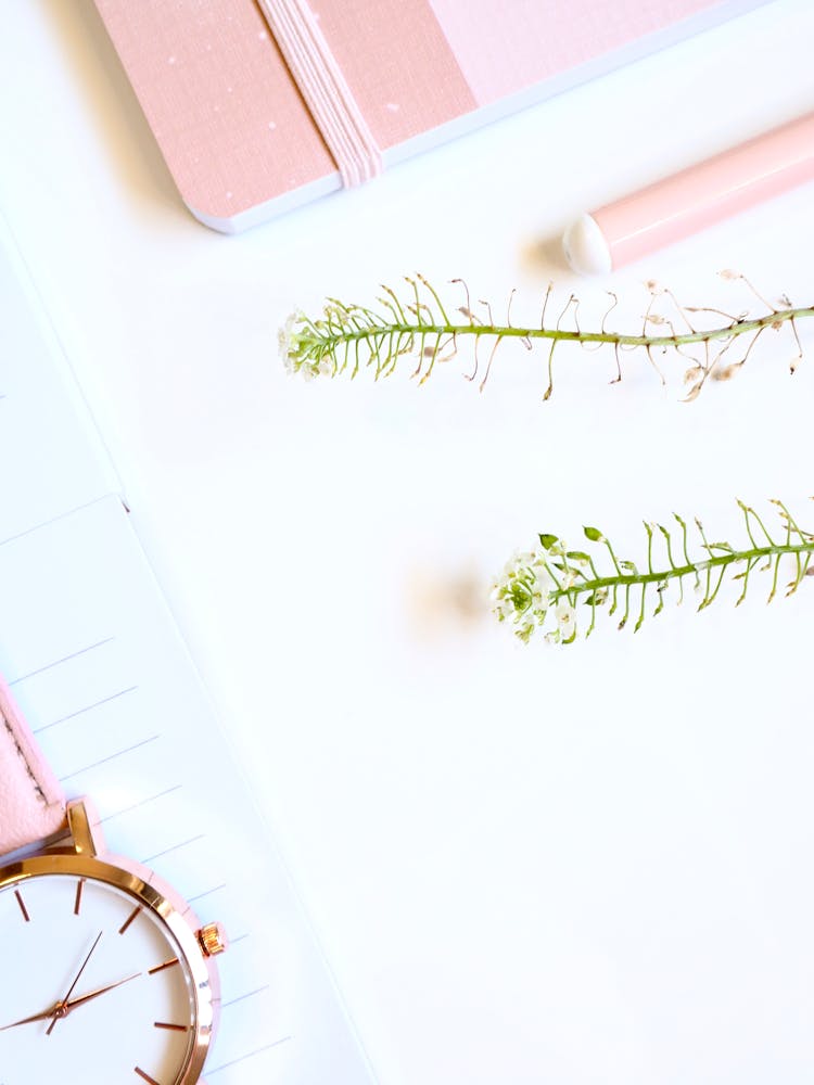 Notebook With Pen And Green Stems Of Plant Near Wristwatch