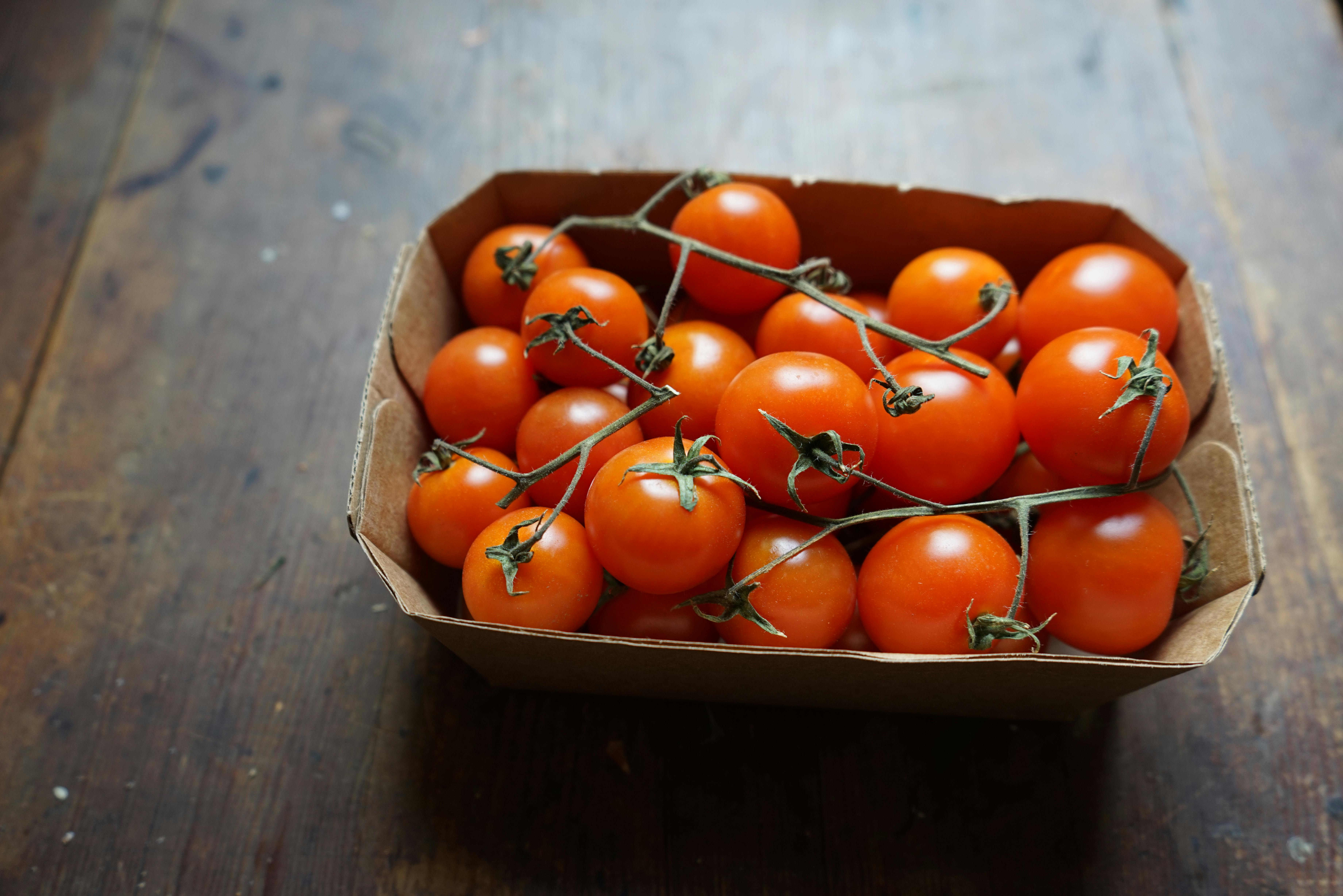 Red Tomatoes in a Carton Box · Free Stock Photo
