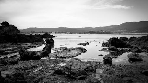 Grayscale Photo of Rocks on Seashore