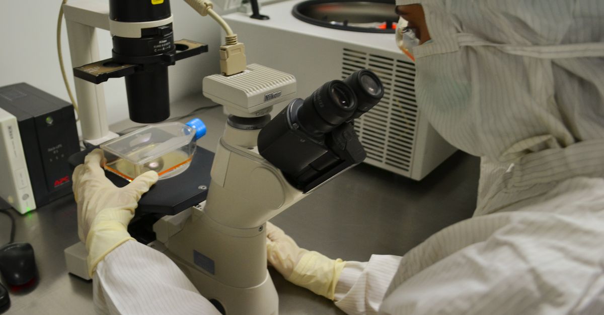 Taiwanese Researchers Develop Hair Serum That Regrows Hair in 20 Days