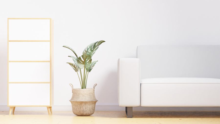 Salon minimalista con sofa blanco y planta de interior
