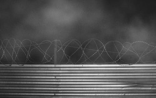 Grayscale Photo of Barb Wires and Metal Fence