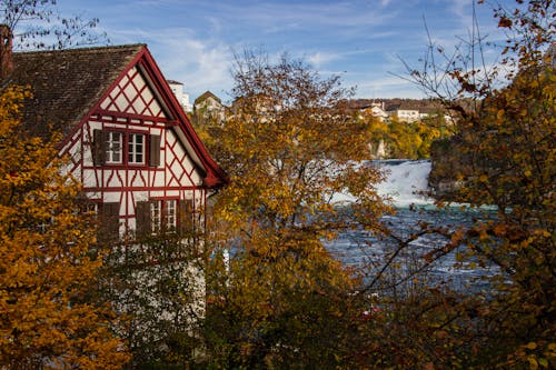 Fotobanka s bezplatnými fotkami na tému dom, stromy, Švajčiarsko