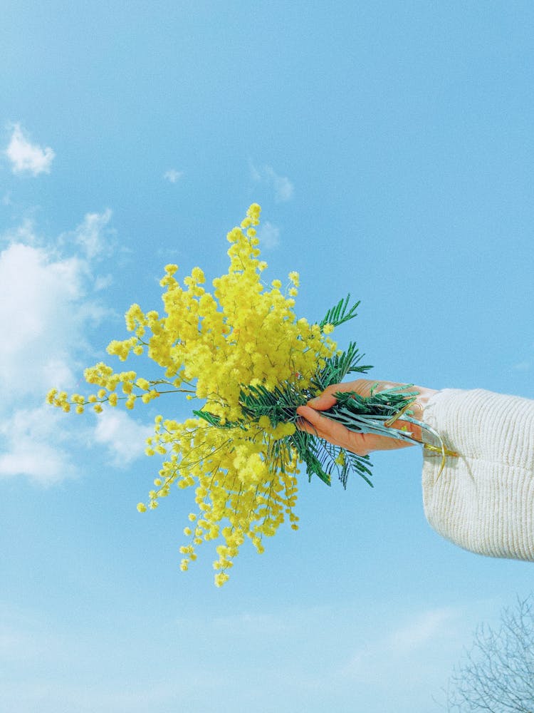 Blooming Yellow Flowers Against Sky