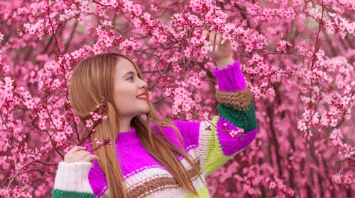 Free A Woman Touching Pink Flowers Stock Photo