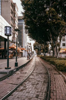 Empty city street with tram tracks lined by buildings and trees.
