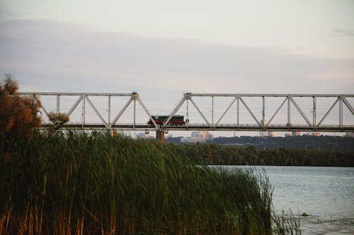 Foto stok gratis jembatan, kereta barang, pagar jembatan