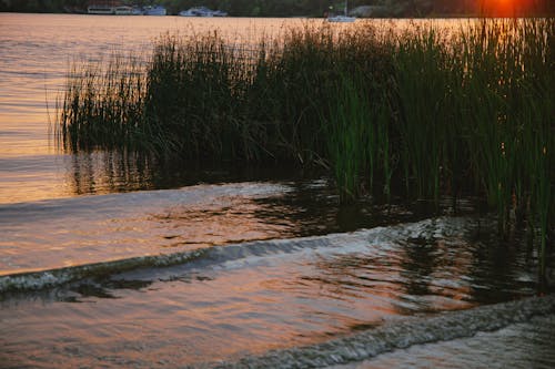 Kostnadsfri bild av flod, solnedgång bakgrund, strandvågor