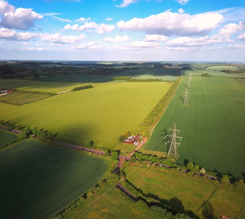 Foto d'estoc gratuïta de camp, camps de cultiu, foto des d'un dron