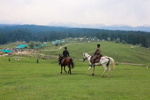 Men Riding Horses in the Grass Field